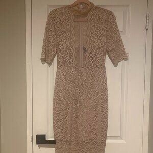 Express Pink Lace Dress